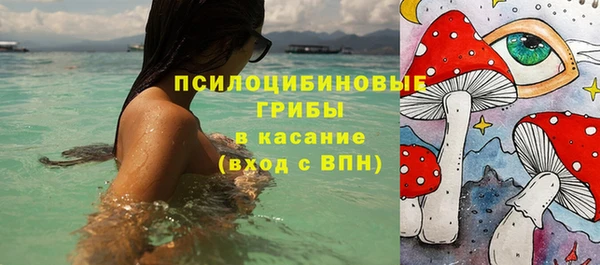 сатива Алзамай
